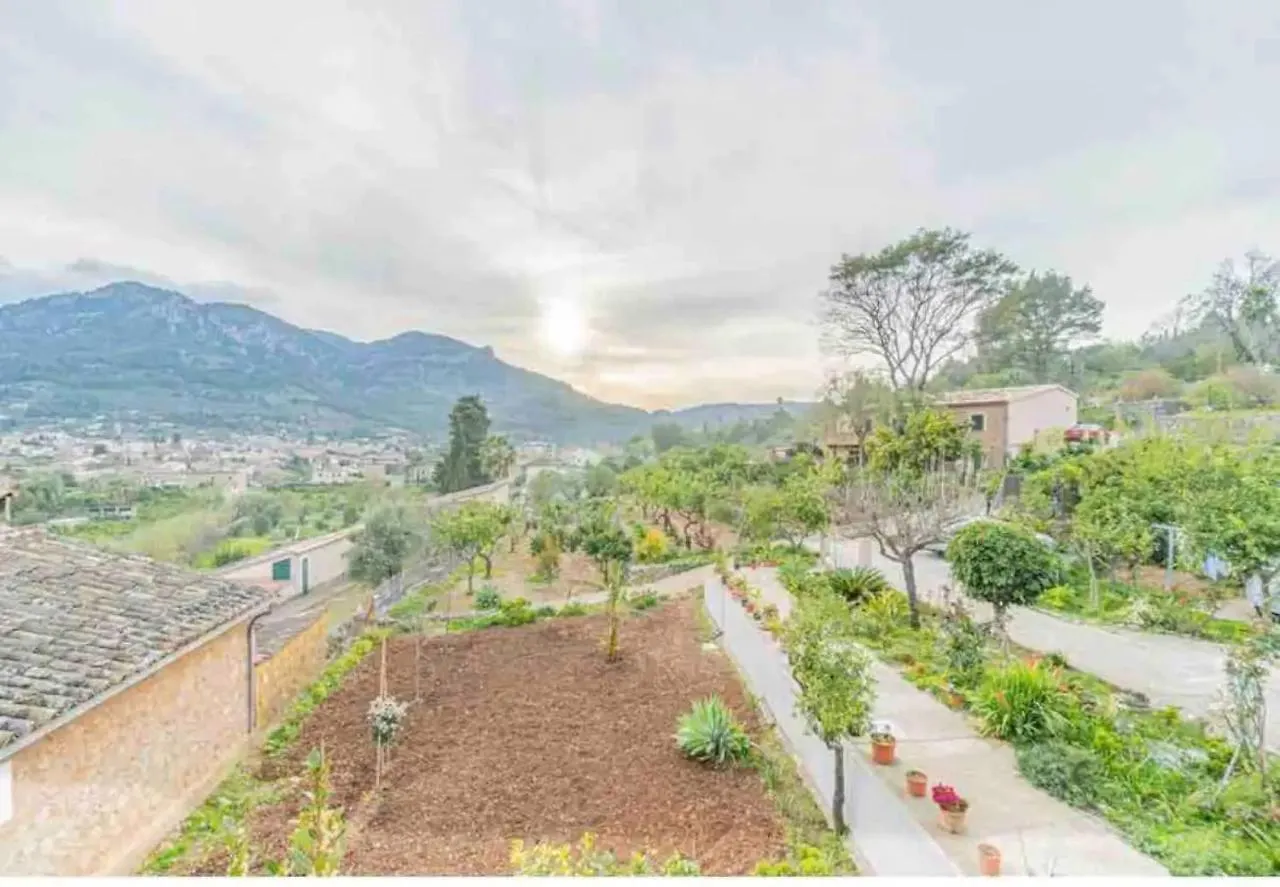 Villa Arbona Dalt location